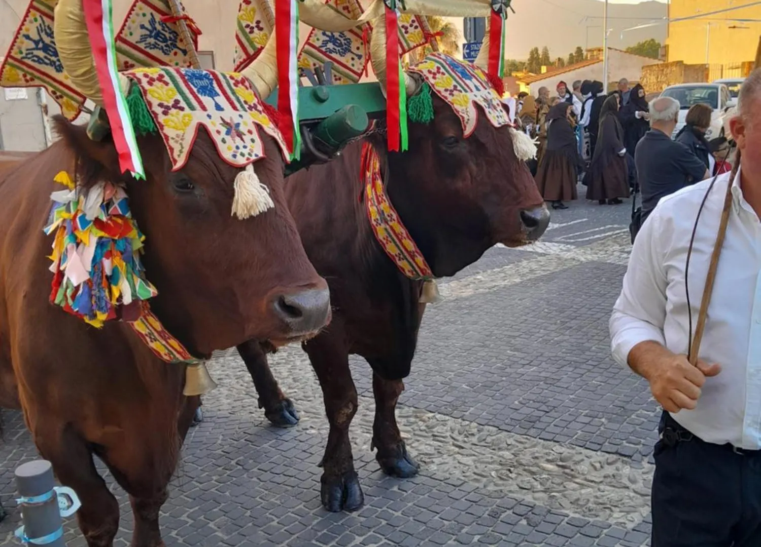 Appartamento Sardinia Experience Villamassargia Italia