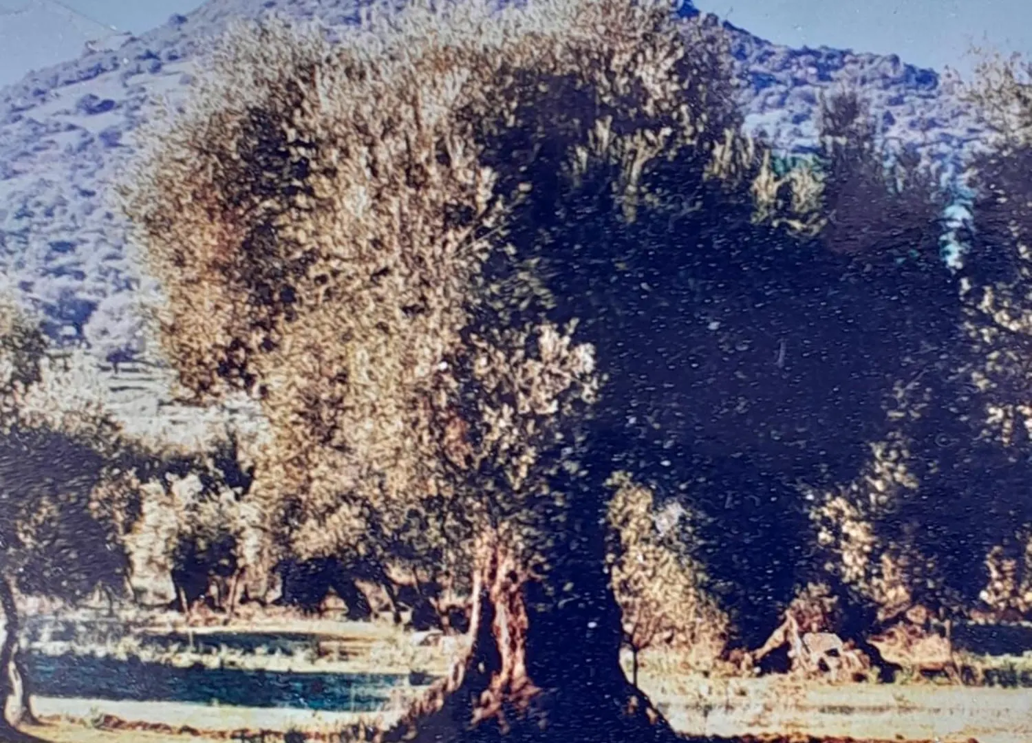 Appartamento Sardinia Experience Villamassargia